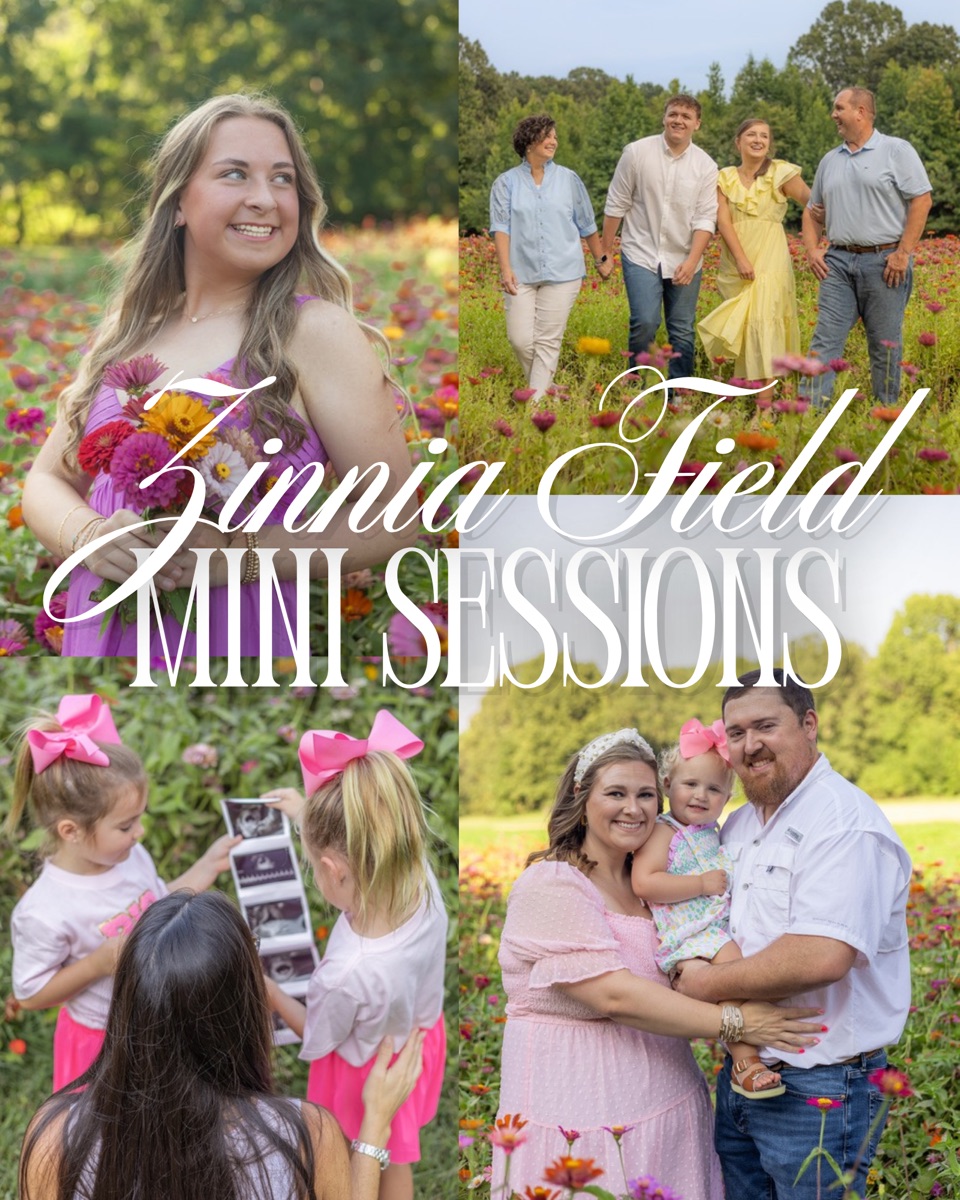 Collage of four zinnia field portraits titled Zinnia Field Mini Sessions