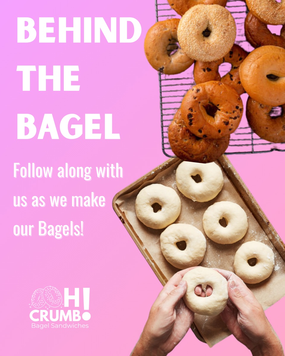 Oh Crumb post: Behind the Bagel, with raw dough rings and baked bagels on pink